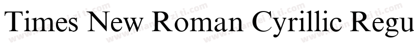 Times New Roman Cyrillic Regular字体转换